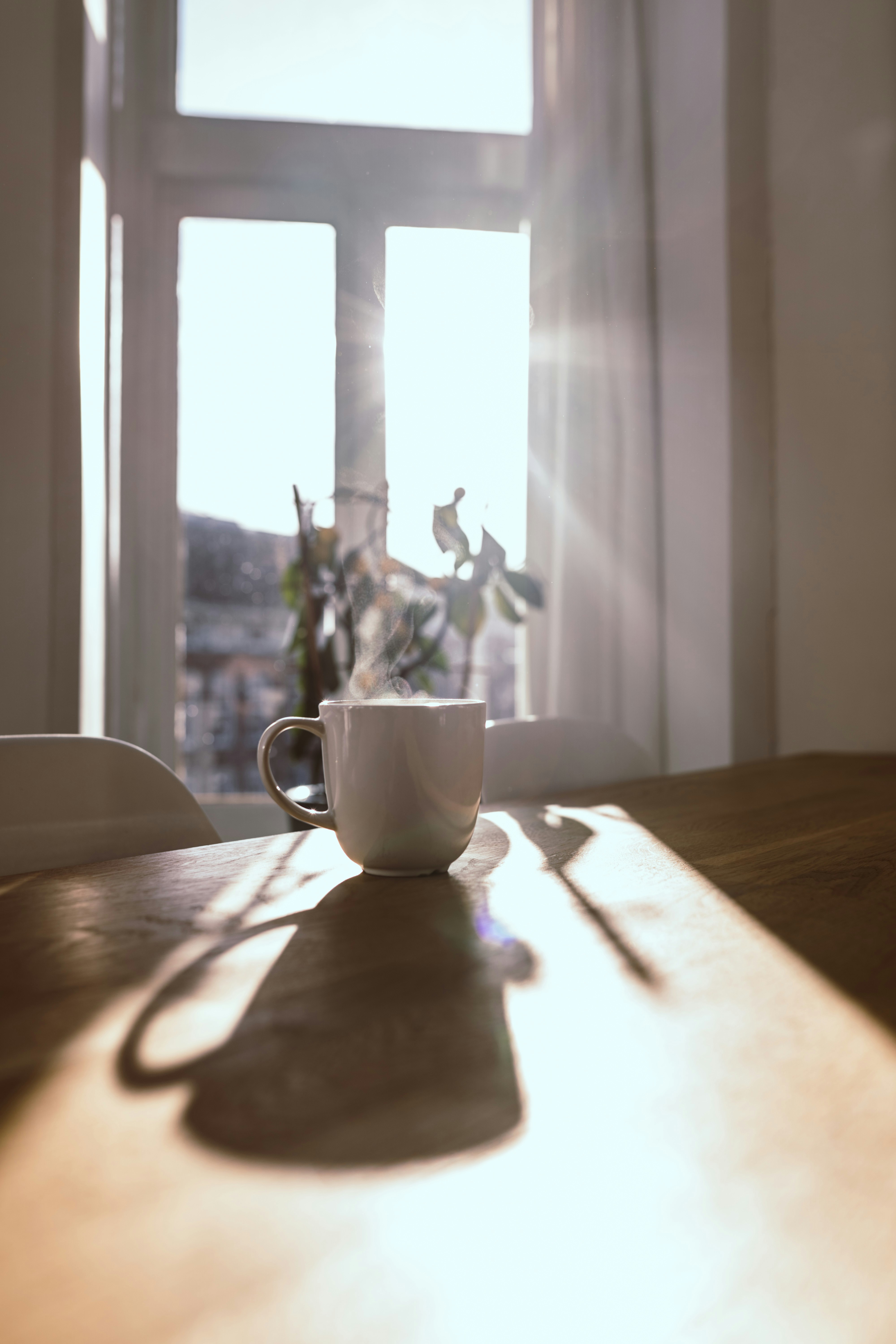 A steaming cup of coffee beside an open book bathed in soft morning light
